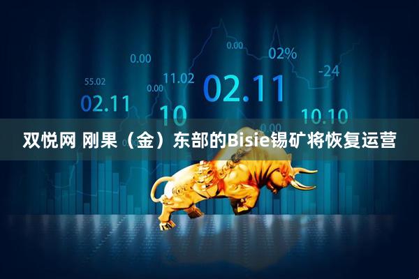 双悦网 刚果（金）东部的Bisie锡矿将恢复运营