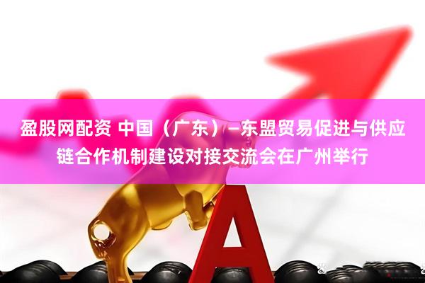 盈股网配资 中国（广东）—东盟贸易促进与供应链合作机制建设对接交流会在广州举行