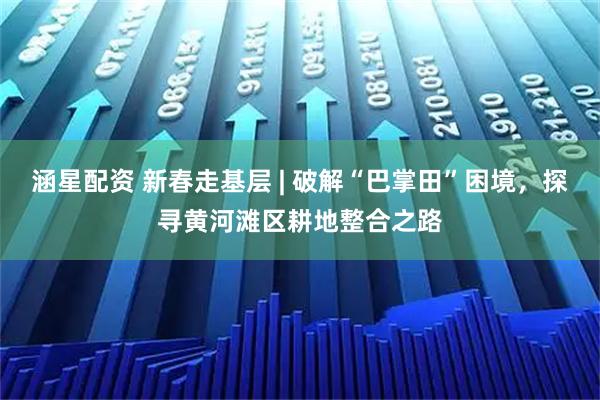 涵星配资 新春走基层 | 破解“巴掌田”困境,探寻黄河滩区耕地整合之路