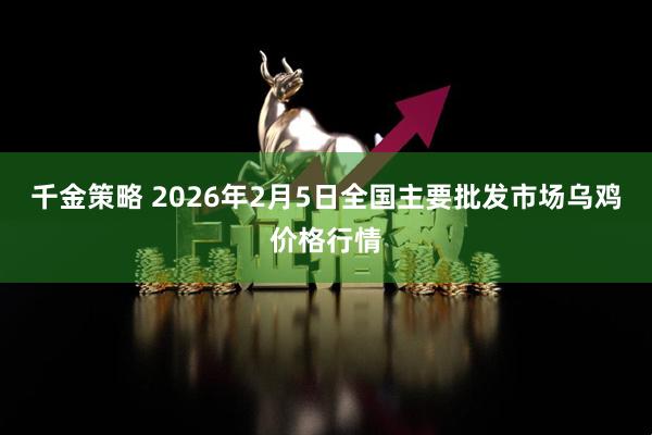 千金策略 2026年2月5日全国主要批发市场乌鸡价格行情