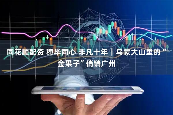同花顺配资 穗毕同心 非凡十年｜乌蒙大山里的“金果子”俏销广州